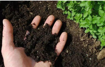 土壤檢測儀器檢測效果準(zhǔn)不準(zhǔn)？