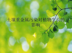 土壤重金屬測定時樣品為什么要風(fēng)干