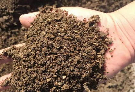 如何分析土壤團粒結構，土壤團粒結構分析方法