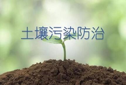 土壤重金屬超標(biāo)對(duì)農(nóng)作物的影響