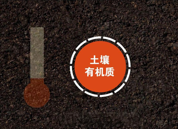 測(cè)定土壤有機(jī)質(zhì)需要注意哪些問題